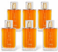 Al-Rehab Choco Musk Eau De Parfum Spray, 1.7 Ounce (Pack Of 6)